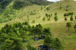 Camping đỉnh Phượng Hoàng Hottrend Của Du Lịch Quảng Ninh